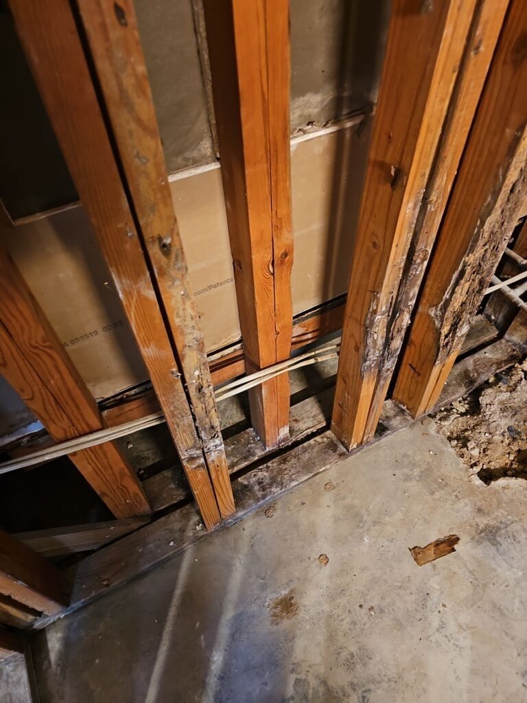 Exposed wall studs and removed drywall during interior water mitigation demolition in Dallas, TX