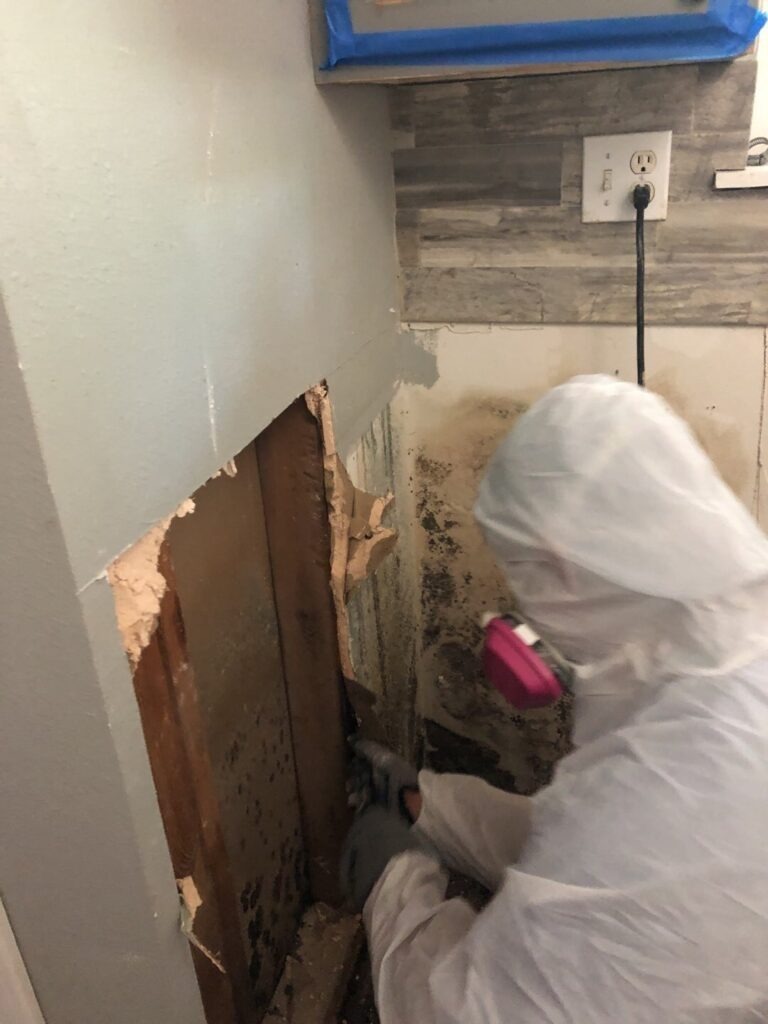 Worker in protective suit performing mold remediation beside an exposed interior wall cavity in a Sherman residence