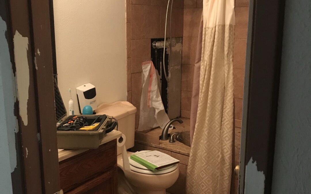 Bathroom Mold Remediation in The Colony, TX