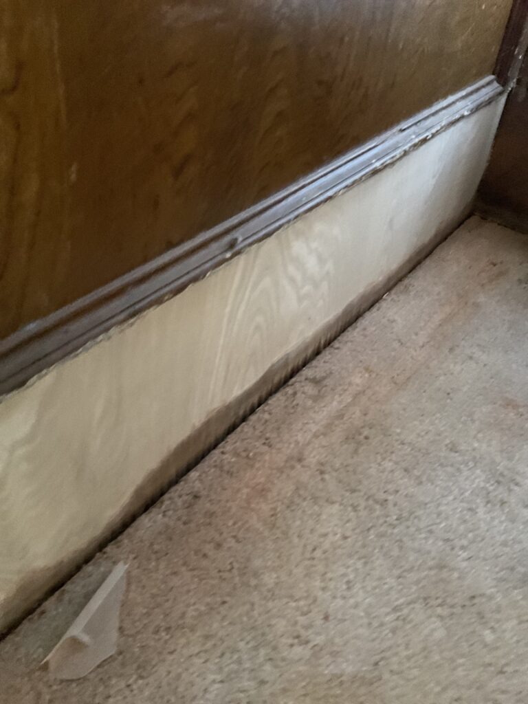 Removed baseboard and exposed lower wall above carpet during water mitigation in Plano, TX