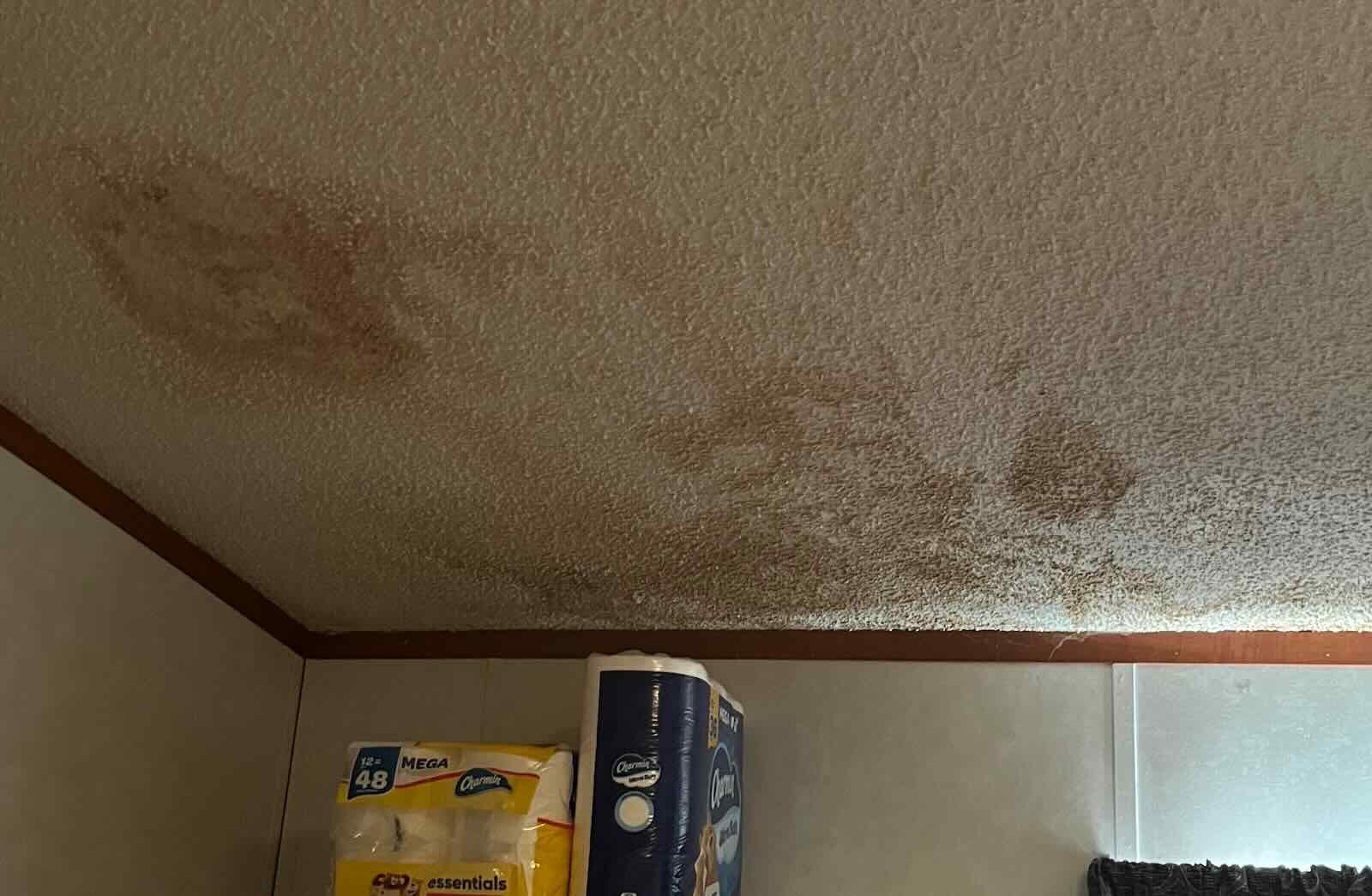 Ceiling Water Stains Above Pantry Brown water stains spreading across a textured ceiling above a pantry
