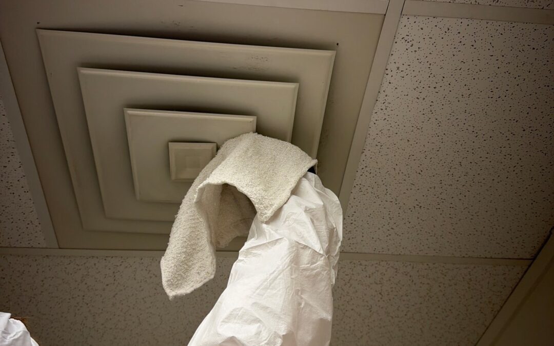 Commercial Mold Remediation in Commerce, TX