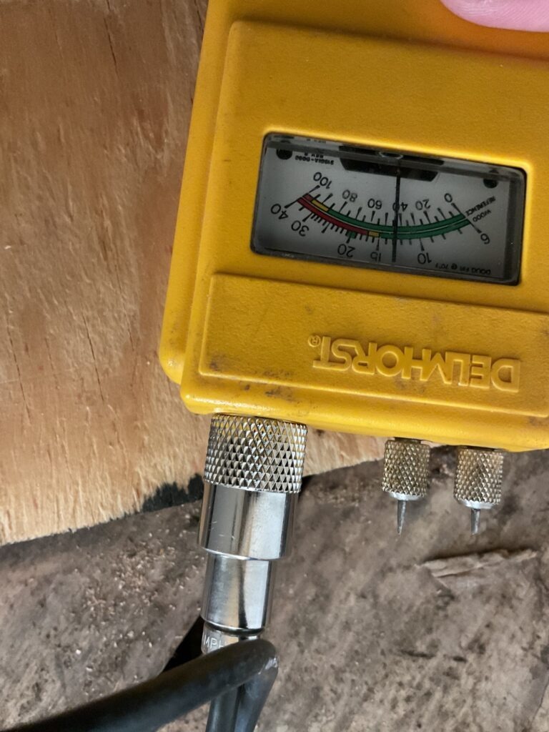 Protimeter moisture meter checking exposed subfloor during mold remediation in Plano, TX