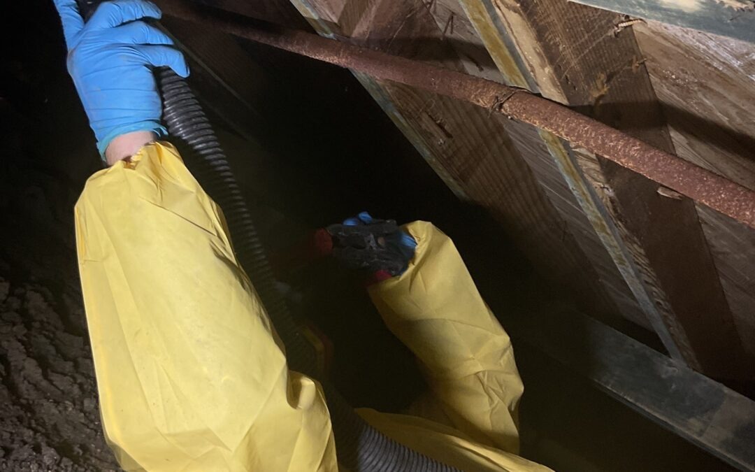 Crawlspace Mold Remediation in Plano, TX