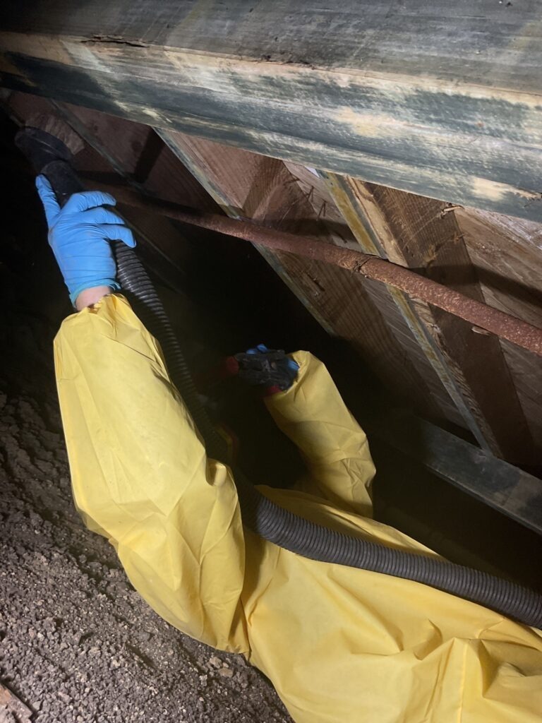 Protective-suited worker running an extraction hose along a mold-stained subfloor in a Plano crawlspace during mold remediation