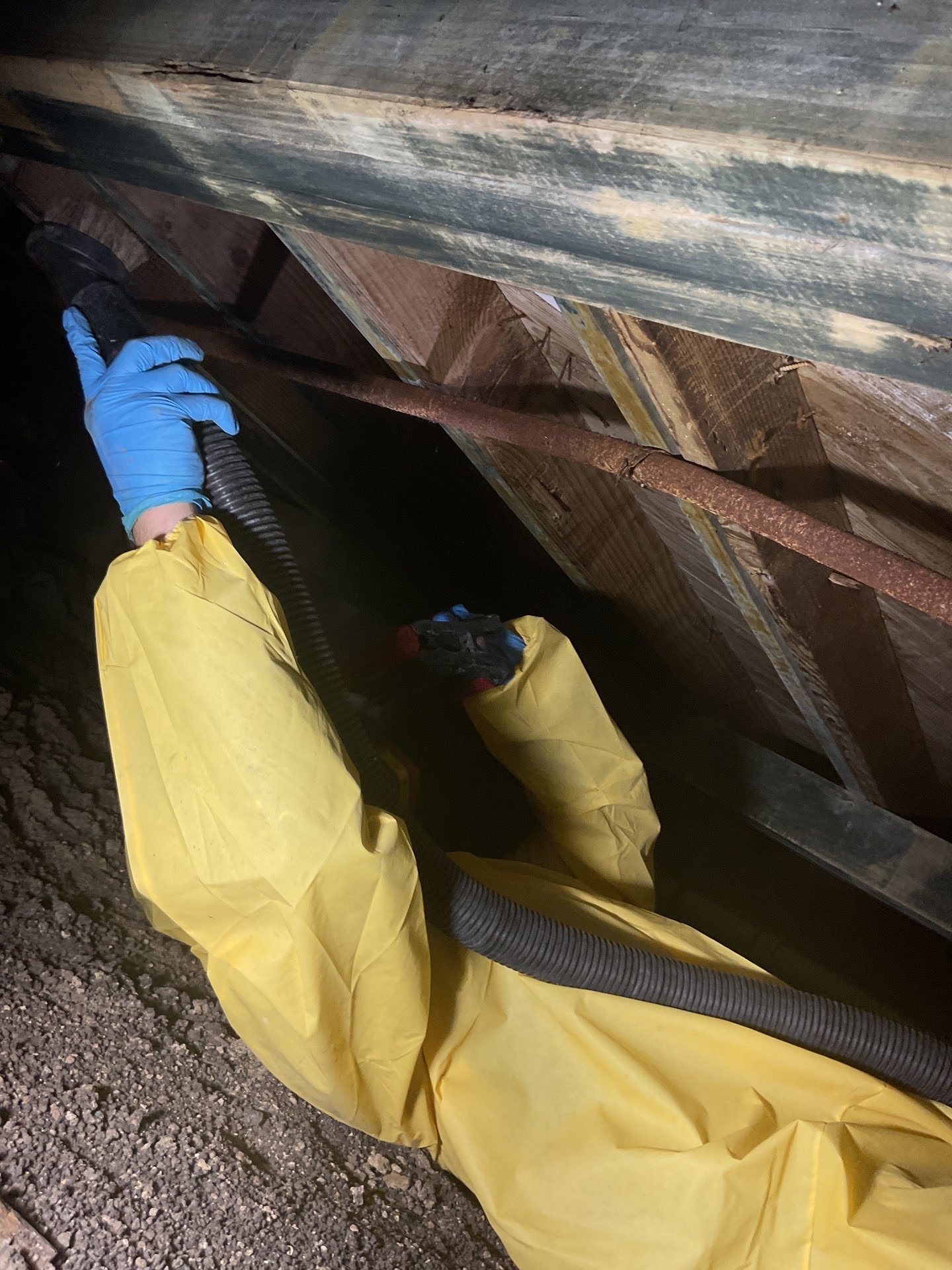 Crawlspace Mold Remediation Work Under a Plano Home Protective-suited worker running an extraction hose along a mold-stained subfloor in a Plano crawlspace during mold remediation
