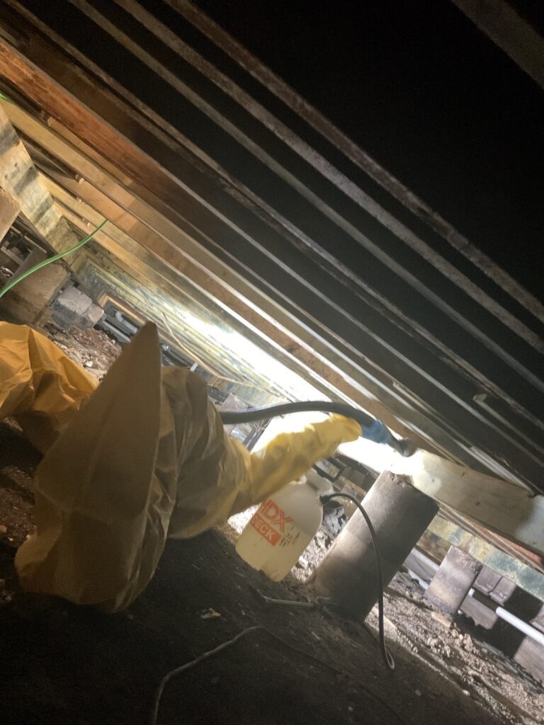 Low-angle view of a residential crawlspace in Plano with exposed floor joists, containment materials, and remediation equipment set up