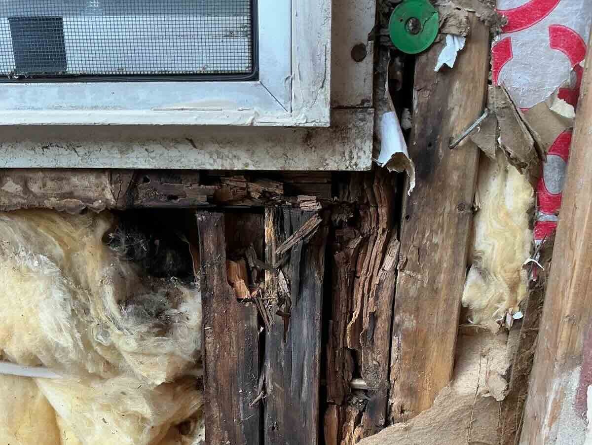 Recurring Wall Leak investigation placeholder
