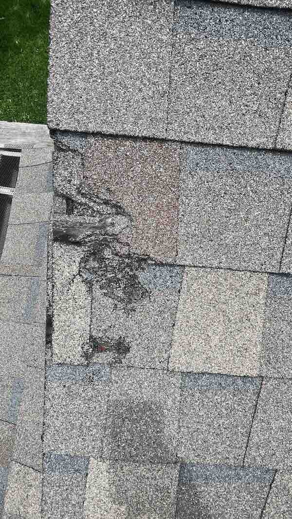 down-net_http20260729-328-ofzabn My Roof Looks Damaged completed work placeholder
