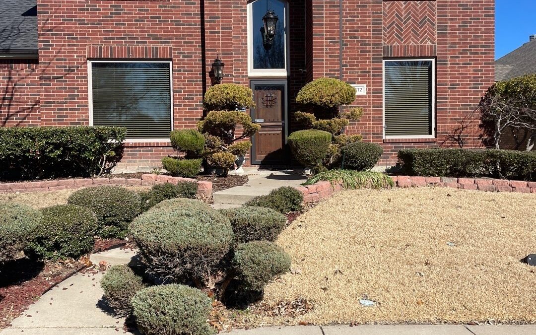 Freeze-Related Water Damage Mitigation in McKinney, TX