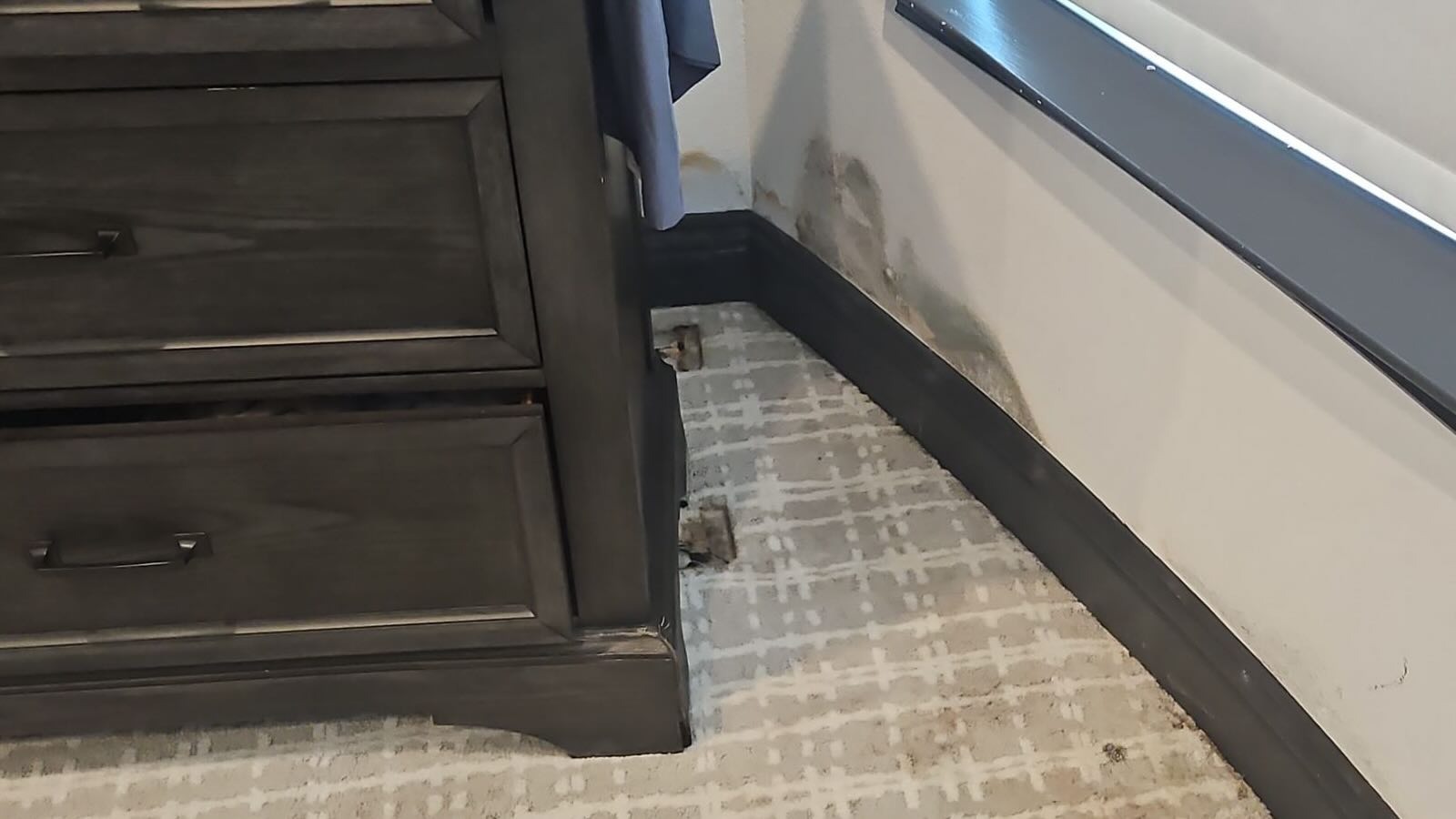 mold-on-wall-allen-tx Visible Mold Growth visible condition placeholder