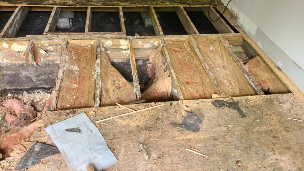 Residential interior during mold remediation with removed subfloor, exposed joists, and visible insulation in Dallas, TX