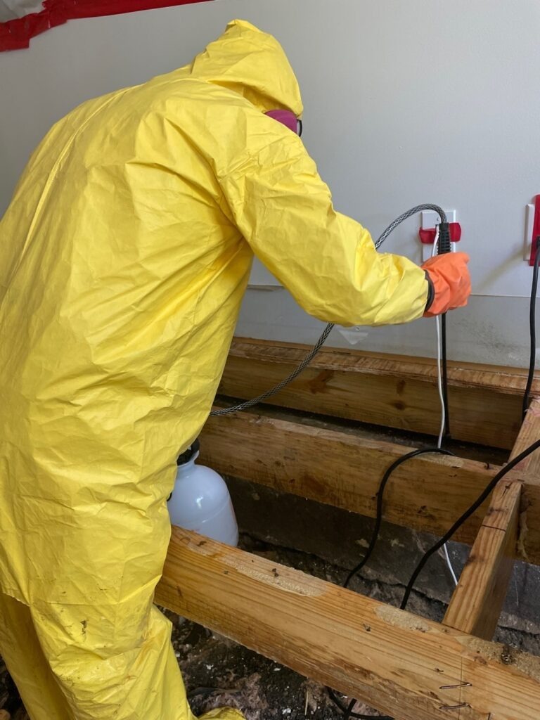 Protective-suited technician treating exposed wood framing during mold remediation in Dallas, TX