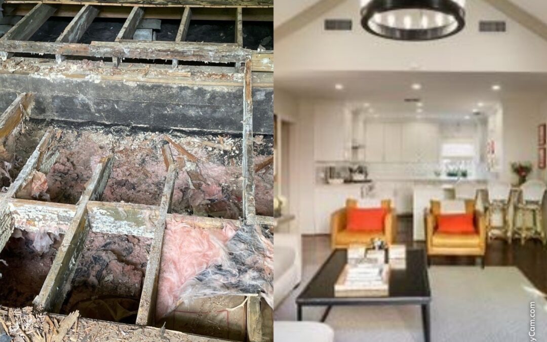 Mold Remediation and Structural Repair in Dallas, TX