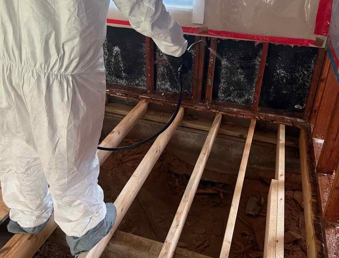 mold-restoration-irving-tx Replace with approved Learning Center image
