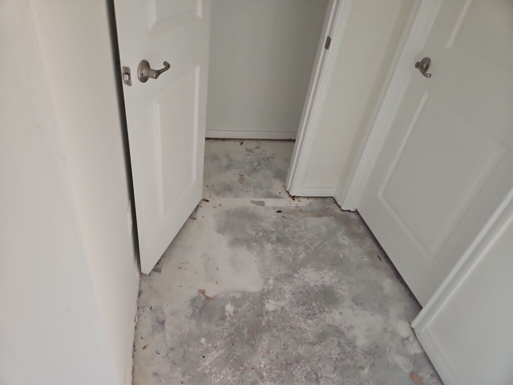 Hallway with flooring removed and subfloor exposed during water mitigation in Princeton, TX