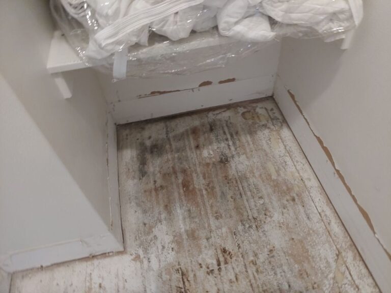 Removed flooring exposing stained subfloor during water mitigation in a Dallas, TX interior