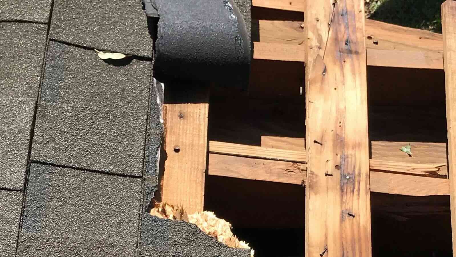 tree-damage-missing-shingles-dallas-tx Missing Shingles visible condition placeholder
