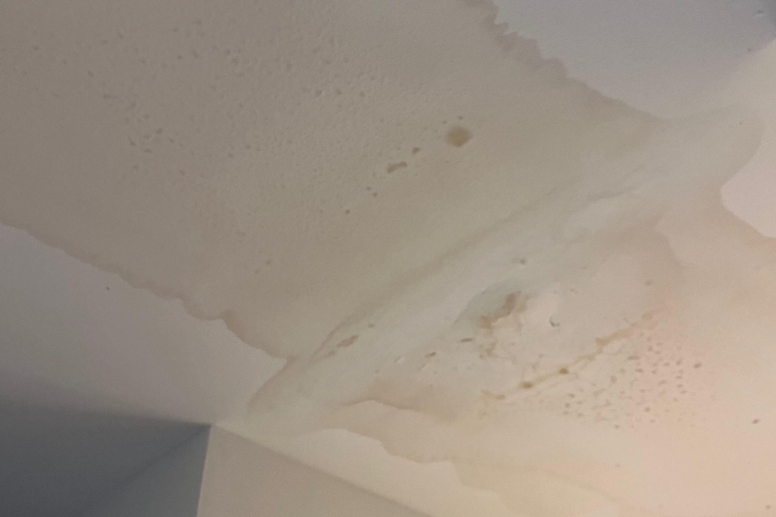 Active Water Leak Through Ceiling Active water leak spreading across a residential ceiling