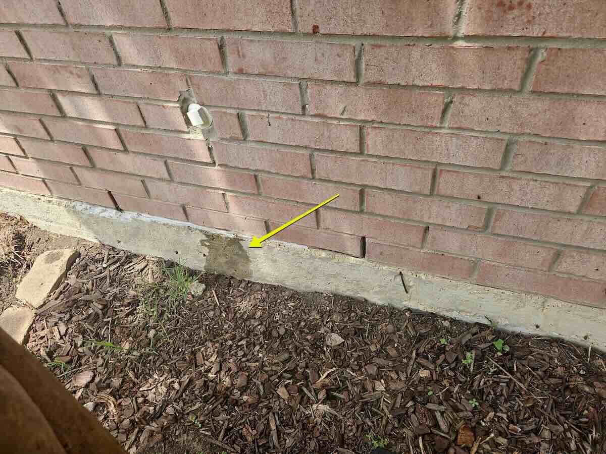 water-leak-through-brick-sachse-tx Replace with approved Learning Center image