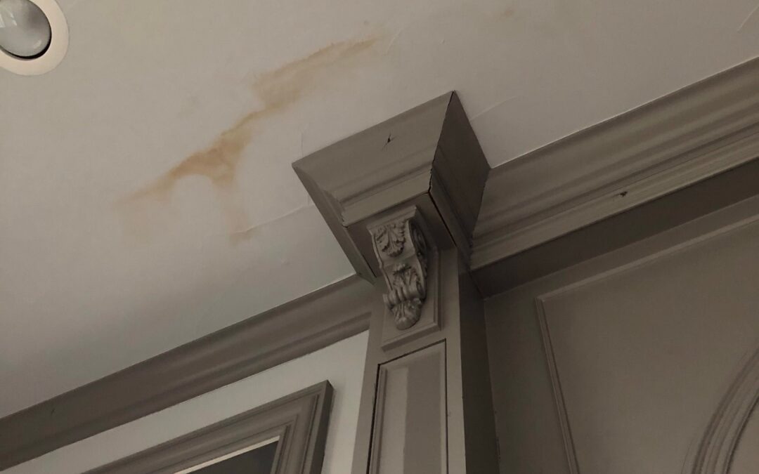 Chimney Leak Mold Remediation in a Prosper Two-Story Home