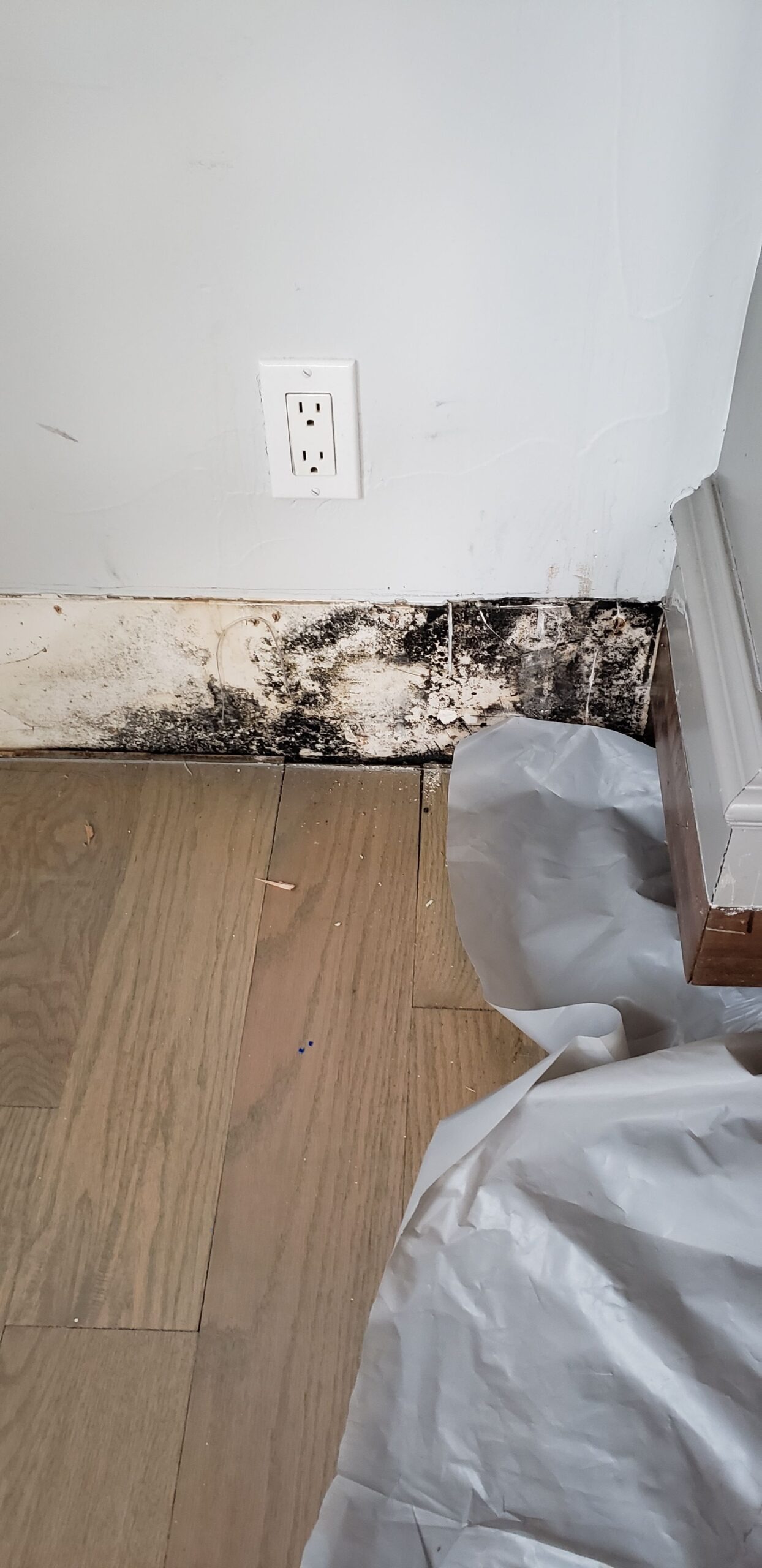 Water Damage project documentation in Prosper, TX