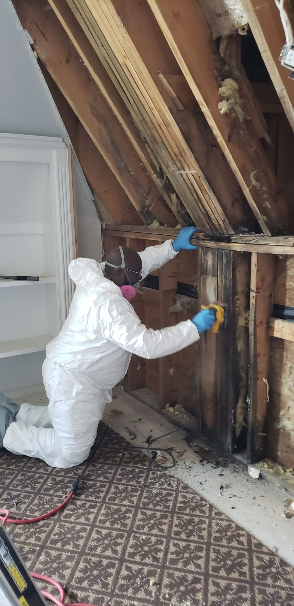 Water Damage project documentation in Prosper, TX
