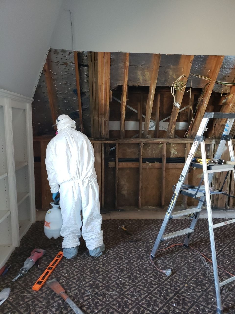 Water Damage project documentation in Prosper, TX