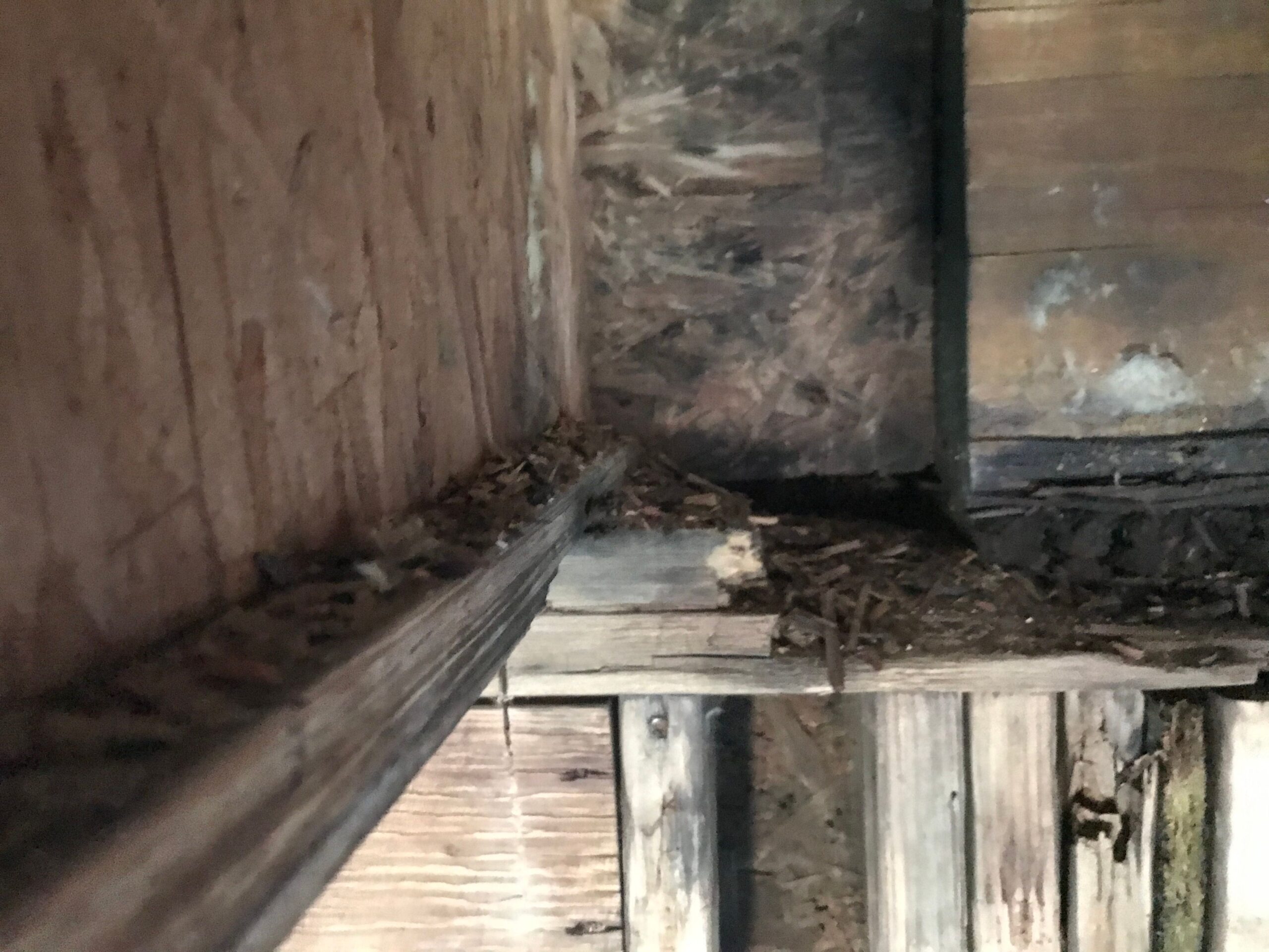 Water Damage project documentation in Prosper, TX
