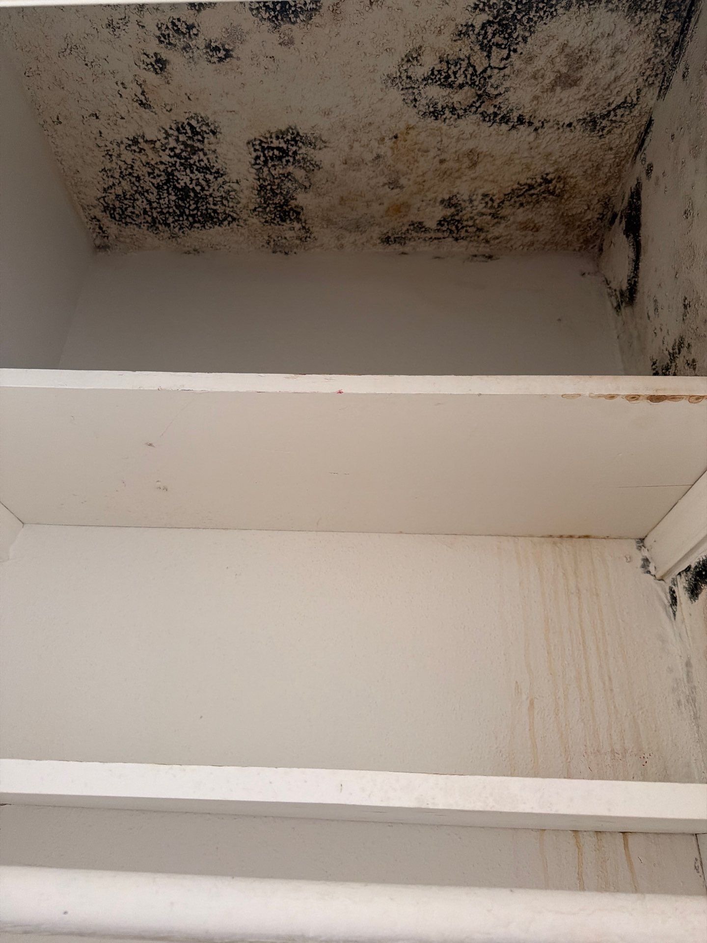 During: containment barriers set up before closet and bathroom ceiling mold remediation work in McKinney