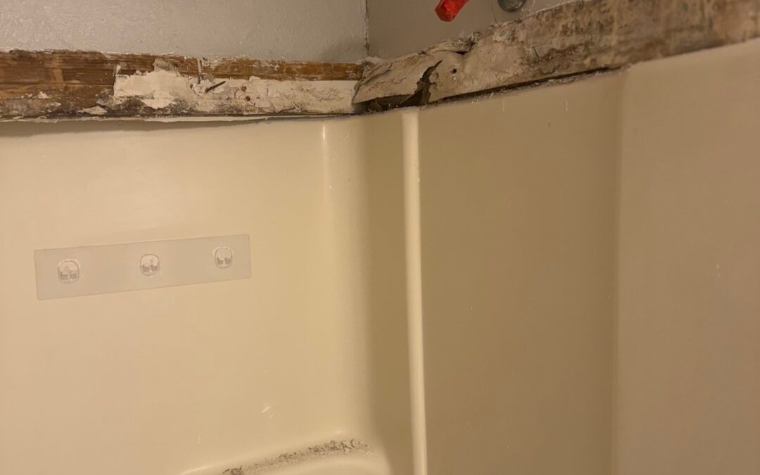 Mold Remediation in McKinney Uncovers Hidden Growth Above Bathtub