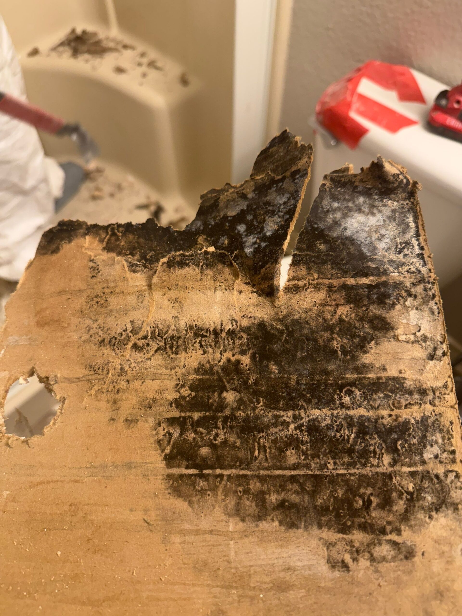 During: exposed cavity above bathtub revealing hidden mold growth found during McKinney remediation