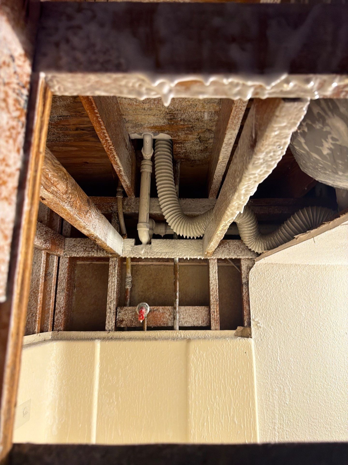 After: closet and bathroom ceiling areas following completed mold remediation in McKinney home