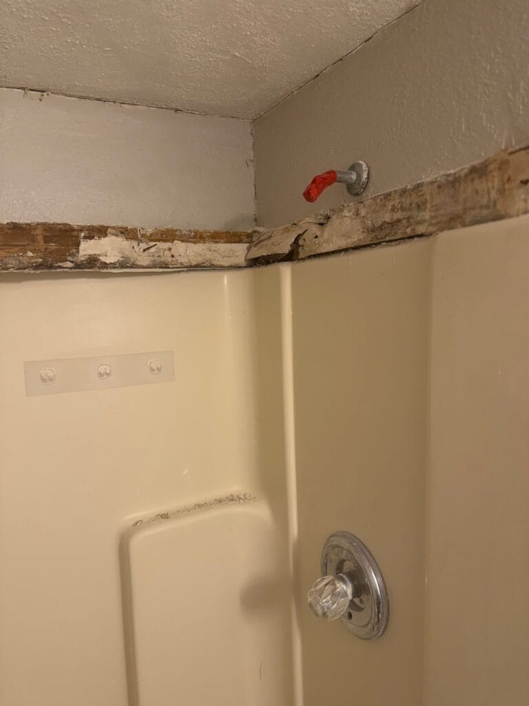 Before: visible closet mold growth in McKinney home that started the mold remediation in McKinney inspection