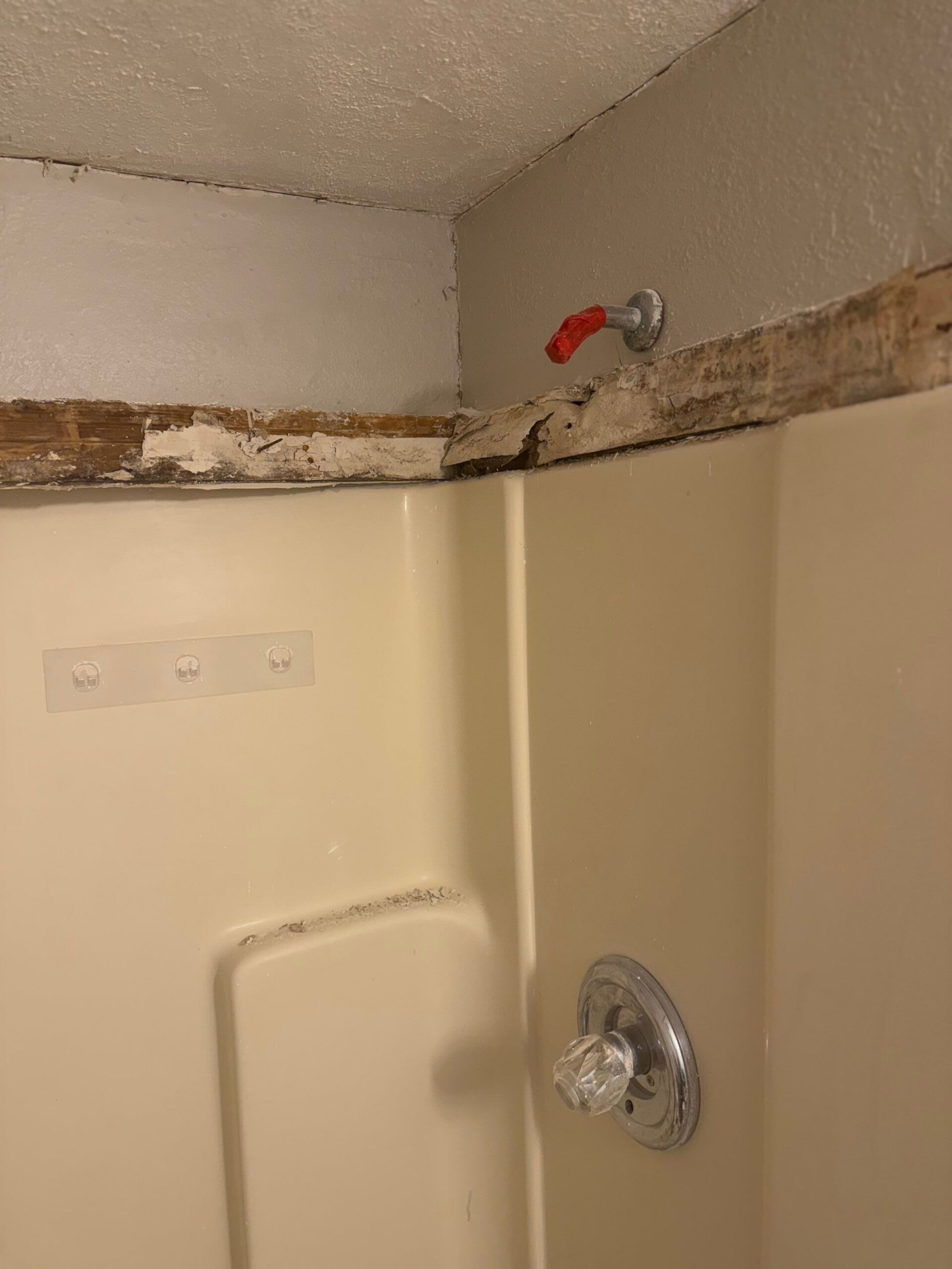 Before: visible closet mold growth in McKinney home that started the mold remediation in McKinney inspection
