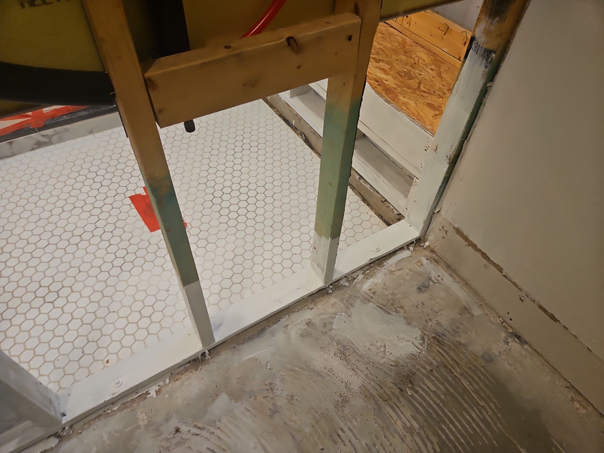Mold project documentation in Prosper, TX