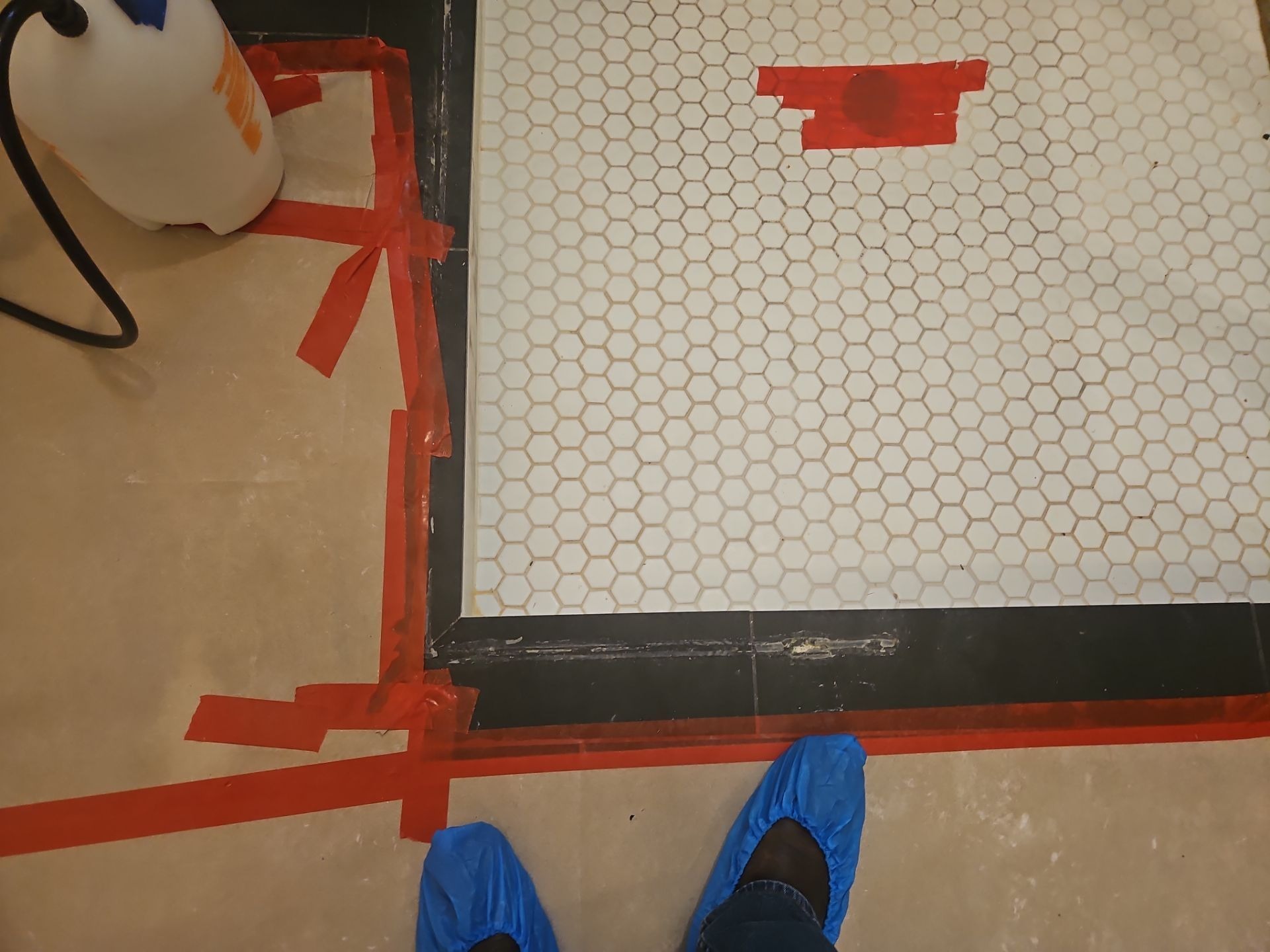Mold project documentation in Prosper, TX