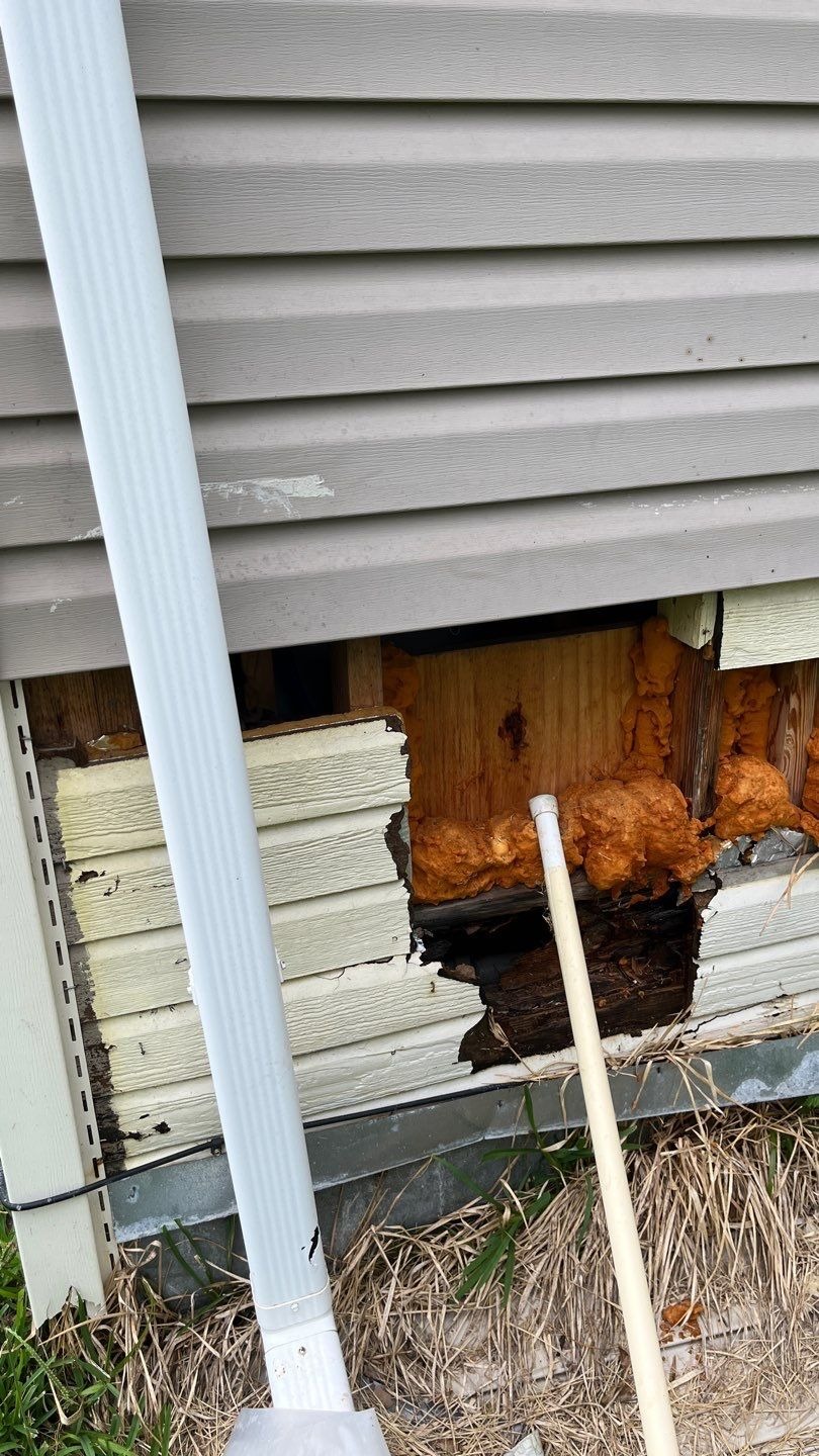 Mold project documentation in Dodd City, TX
