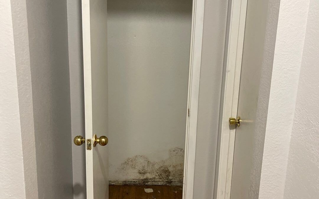 Exterior Wall Leak Causes Closet Mold and Bathroom Wall Damage in Dodd City