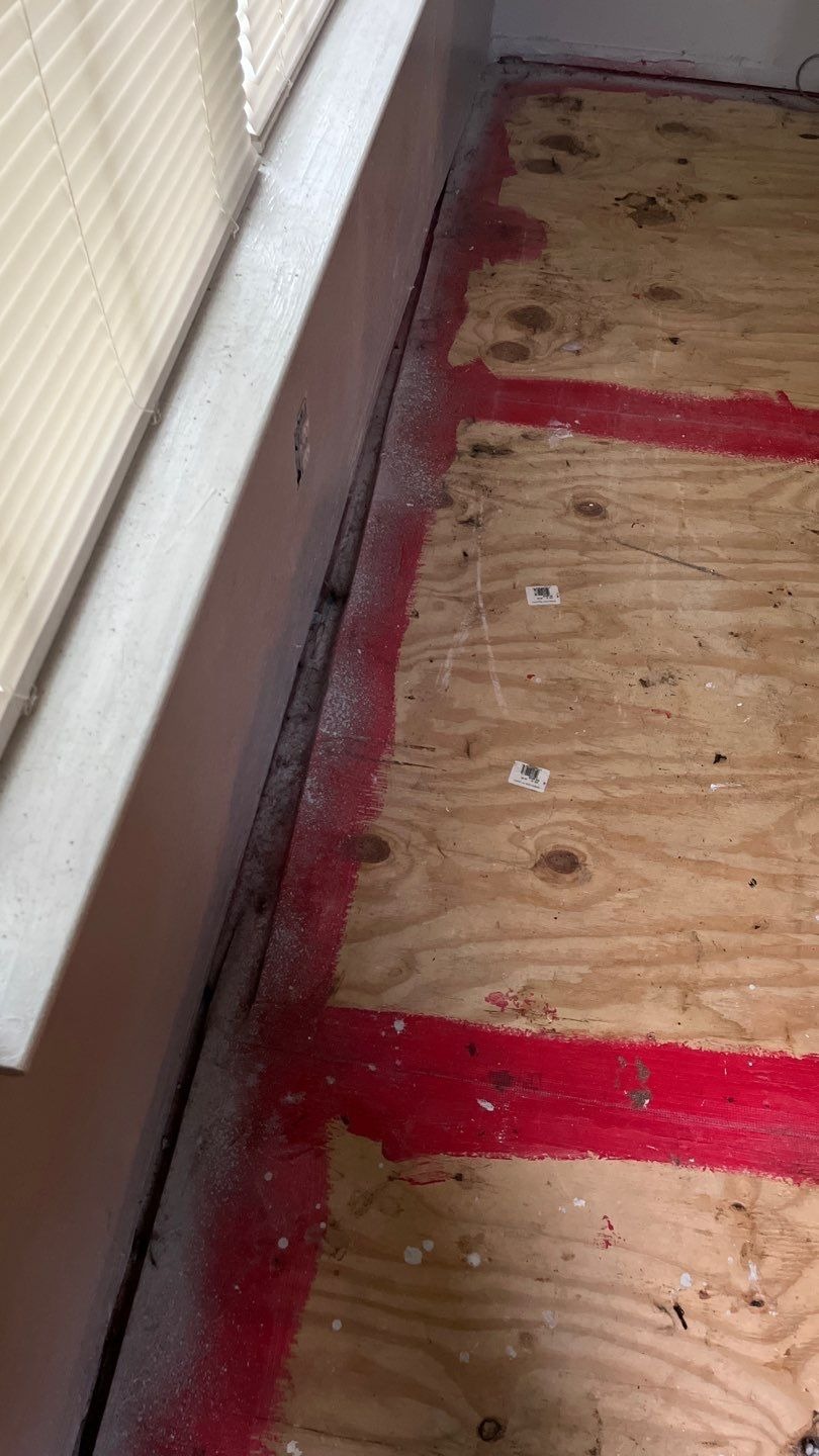 Mold project documentation in Dodd City, TX