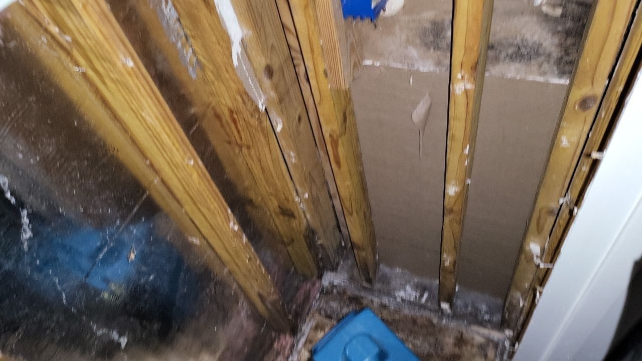 Mold project documentation in Dodd City, TX