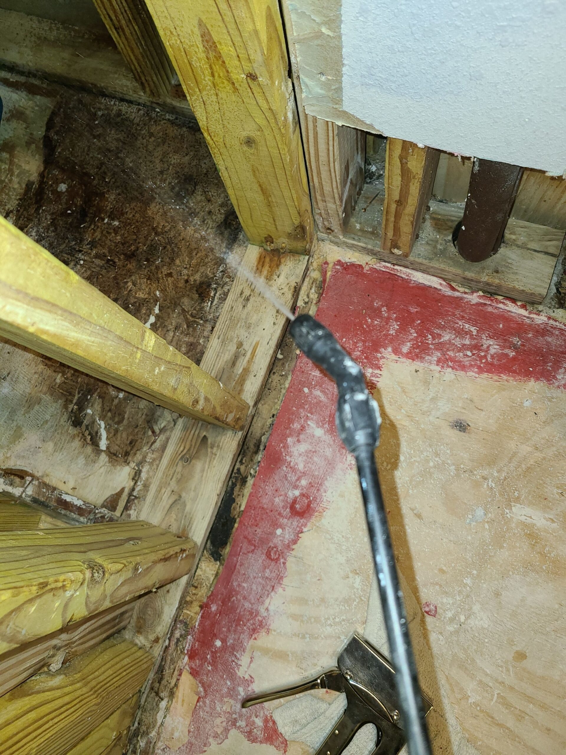 Mold project documentation in Dodd City, TX