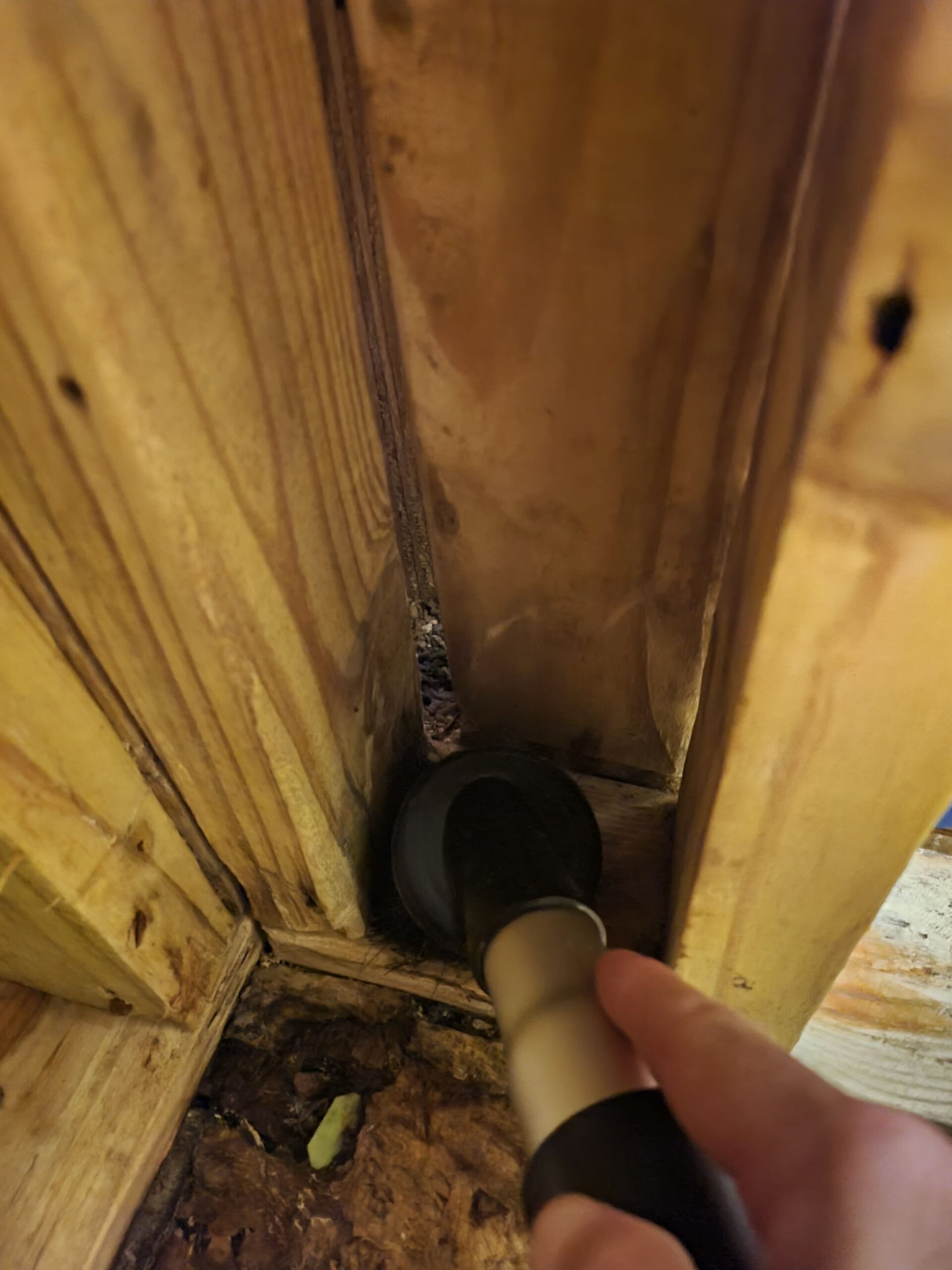 Mold project documentation in Dodd City, TX