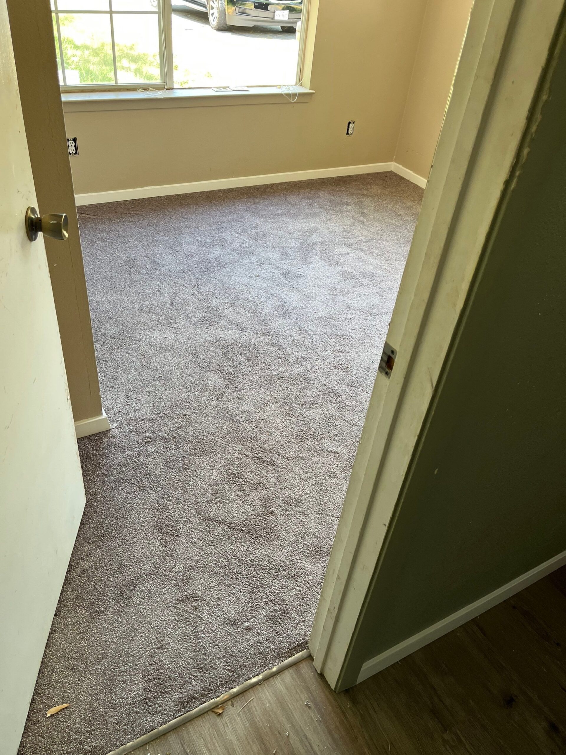 Mold project documentation in Dodd City, TX