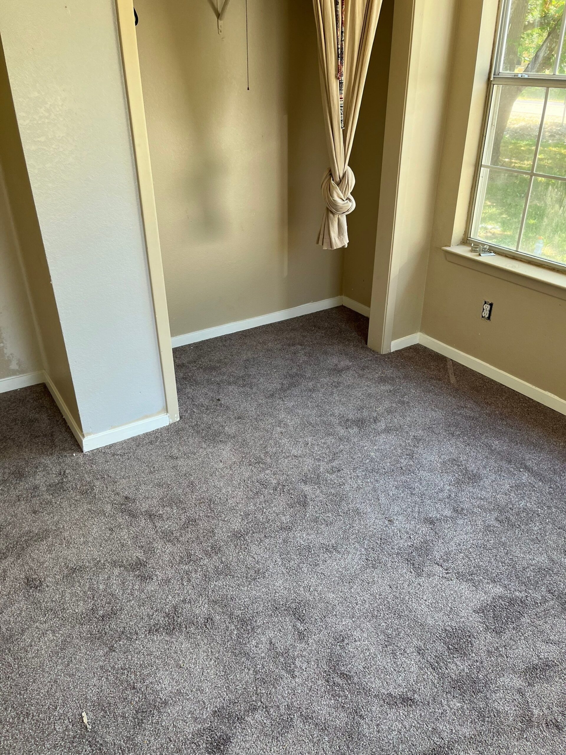 Mold project documentation in Dodd City, TX
