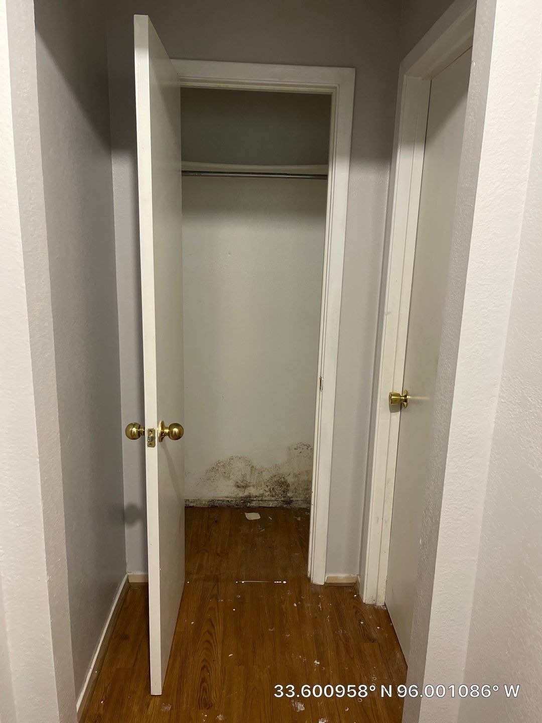 Mold project documentation in Dodd City, TX