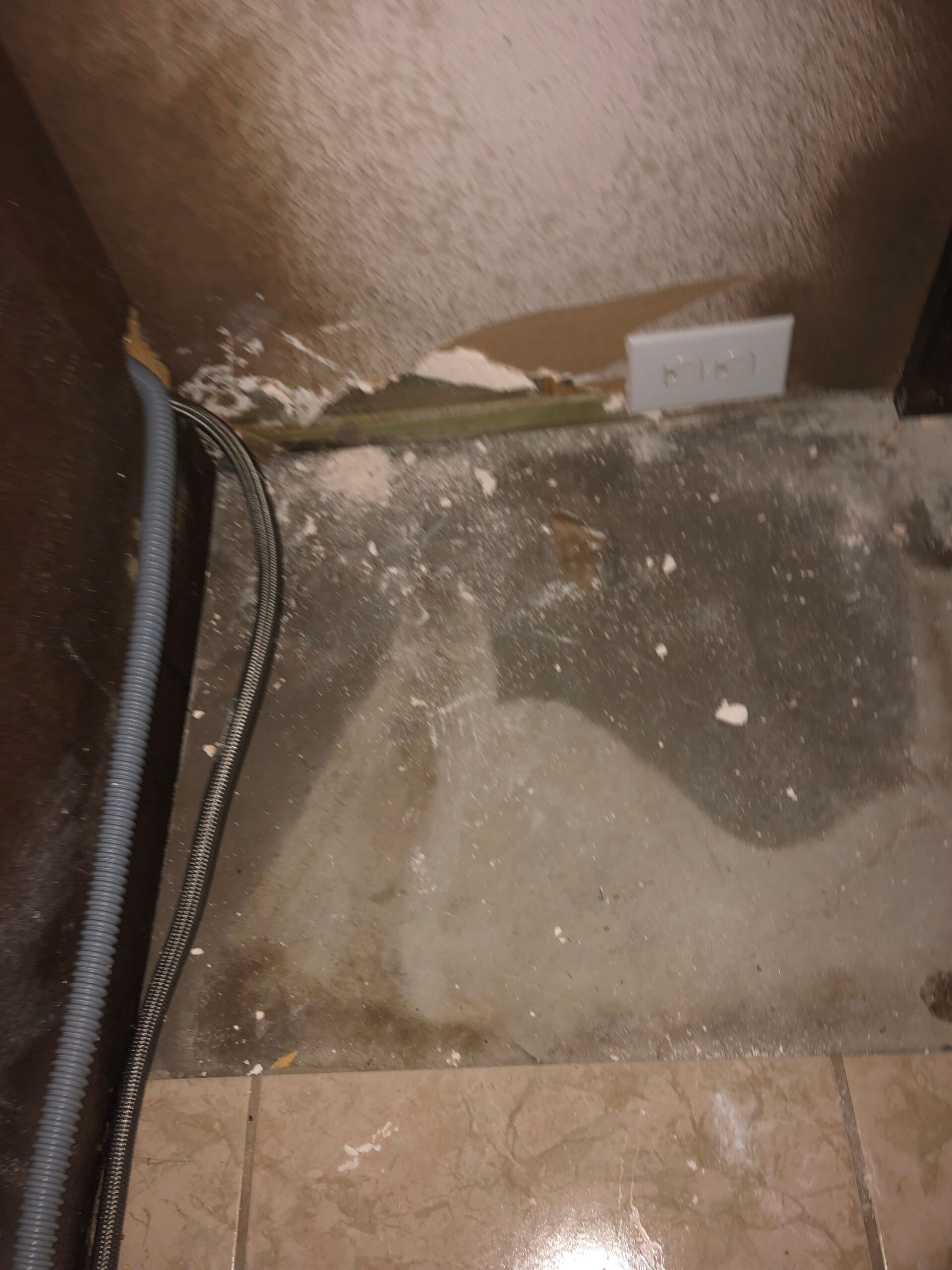 Water Damage project documentation in Sachse, TX