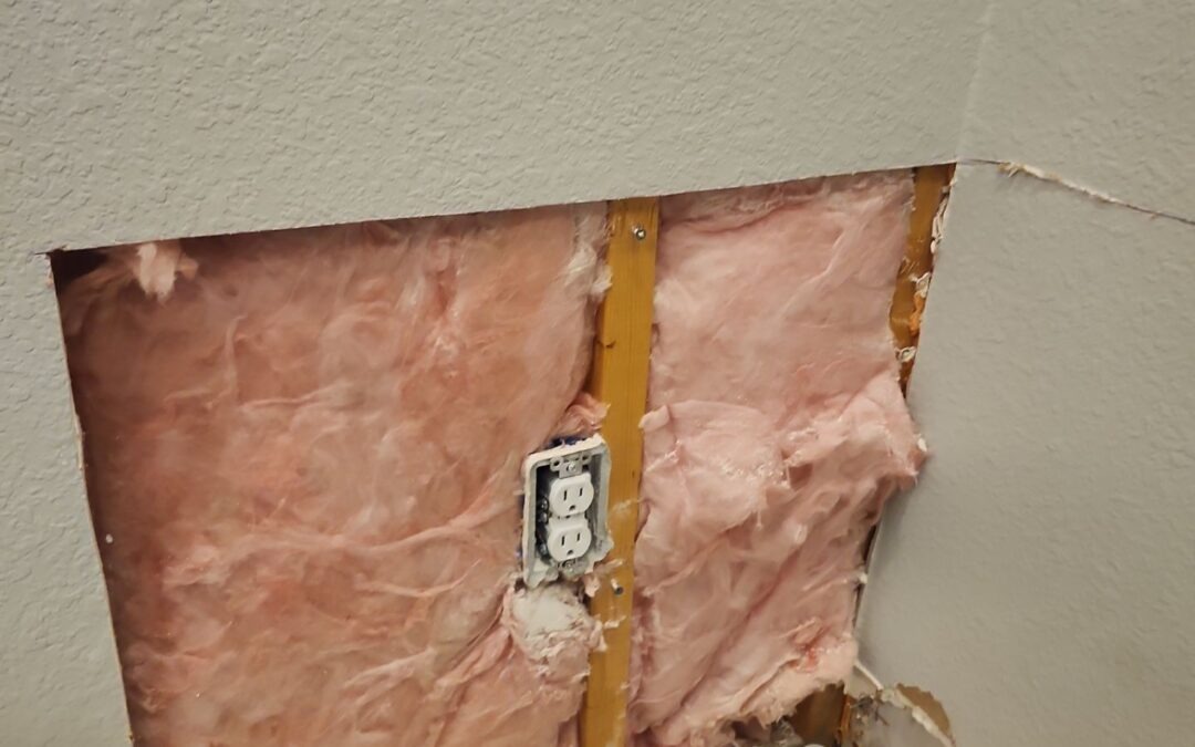Mold Remediation in Melissa, TX After a Long-Term Leak Behind a Wall