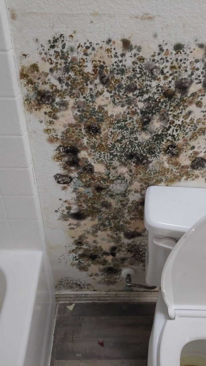 Interior wall area showing conditions noted during the Greenville TX rental mold inspection