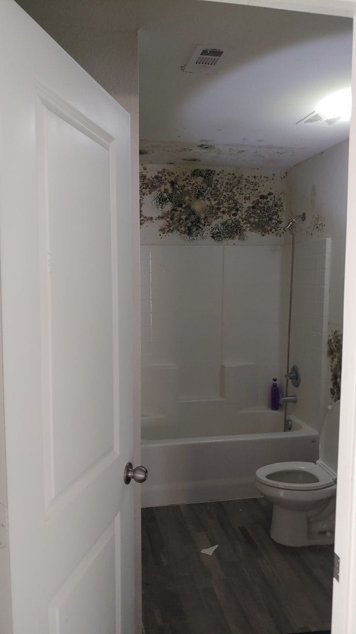 Mold project documentation in Greenville, TX